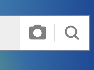 The Snap It search bar, showing the camera icon used to search by photo